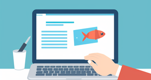 Phishing Scams: How to Recognize and Avoid Them